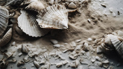 Wall mural Beach Impressions No 39 – fototapet med unikt motiv som skapar en inspirerande fondvägg
