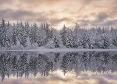 Serene Winter Reflection