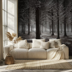 Frosted Winter Forest