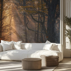 Sunlit Autumn Forest