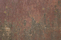 Wall mural Rust 27 – fototapet med unikt motiv som skapar en inspirerande fondvägg