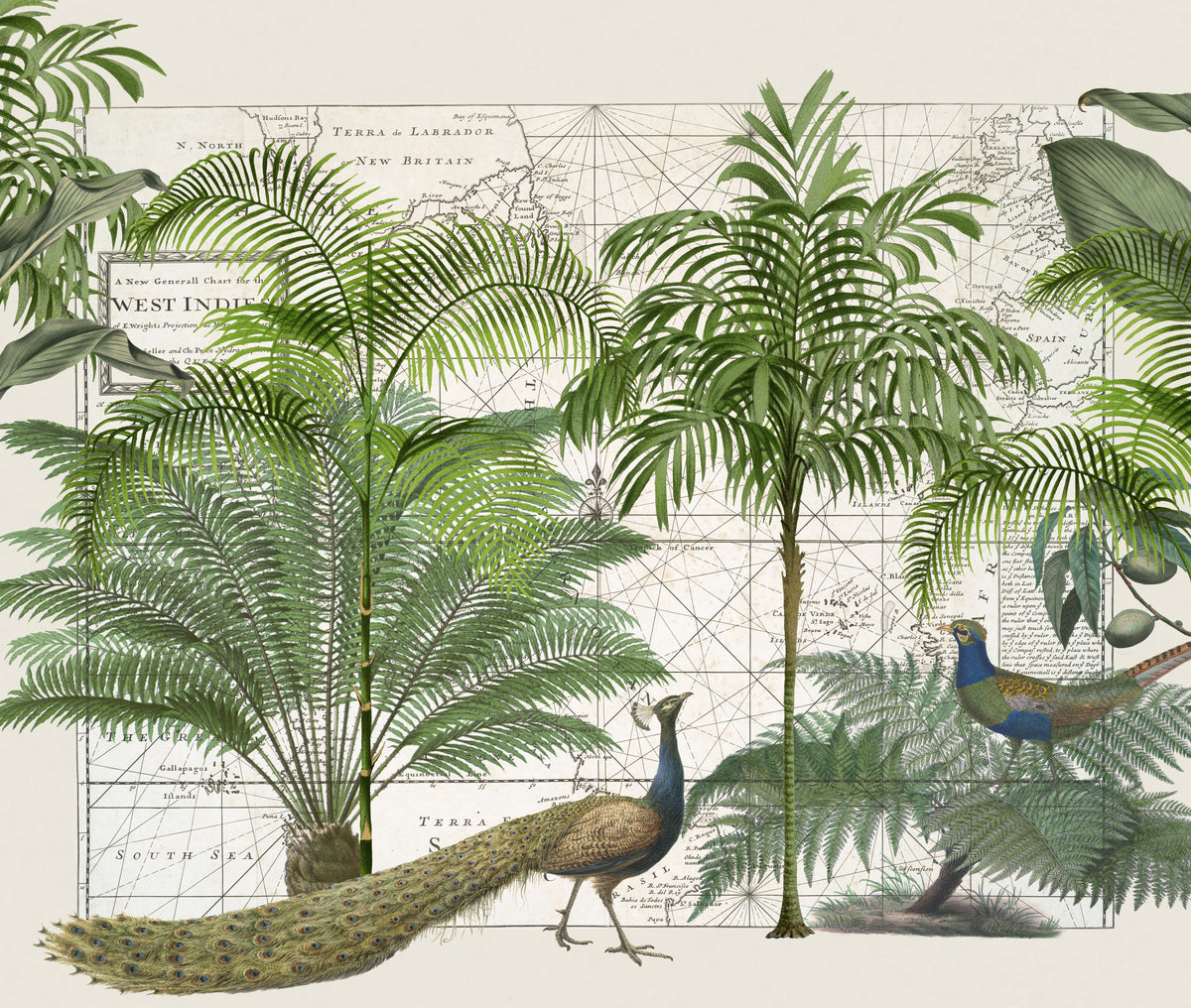 Tropical Empire nr. 6