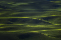 Wall mural Wavy Land – fototapet med unikt motiv som skapar en inspirerande fondvägg