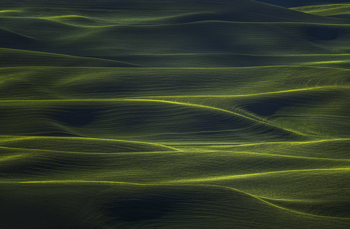 Wavy Land