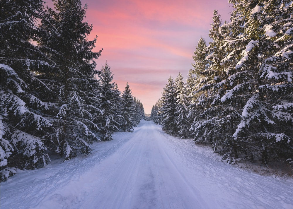 Pink Sky Winter Road