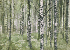 Peaceful Birch Forest