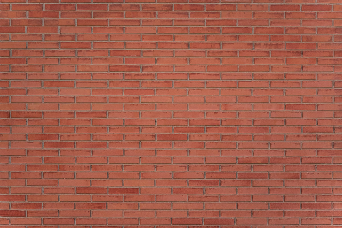 Texture 59