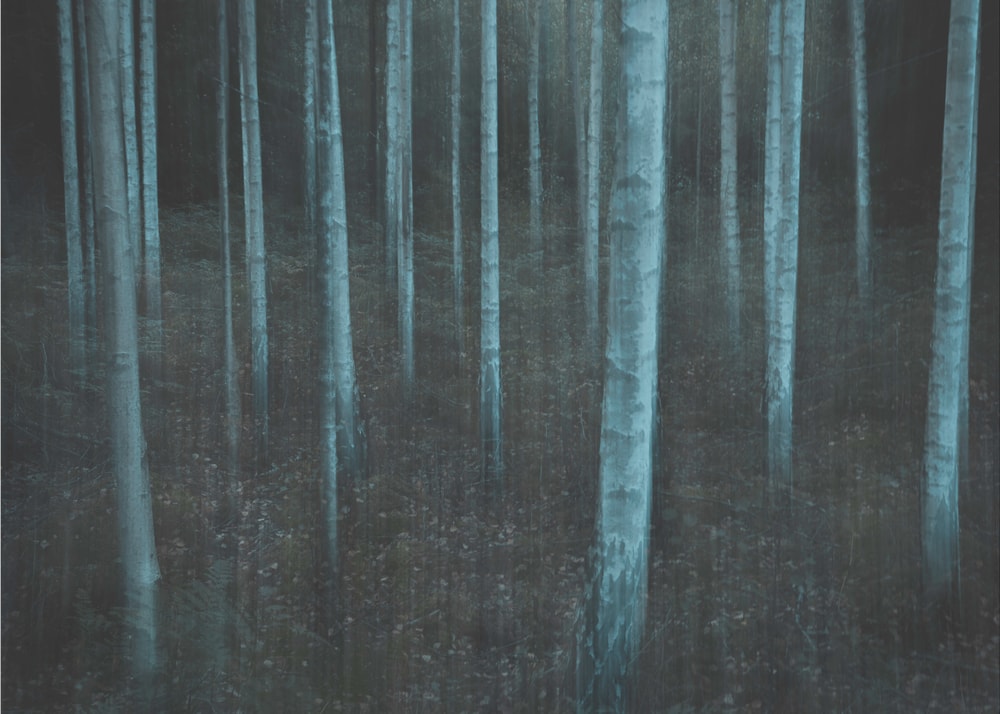 Ethereal Blue Forest
