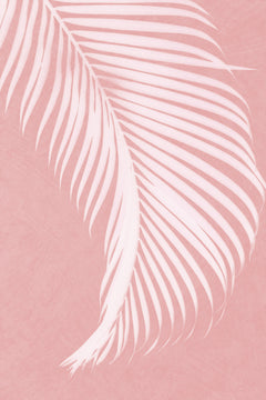Wall mural Palm Leaves On Pink Silhouette I – fototapet med unikt motiv som skapar en inspirerande fondvägg
