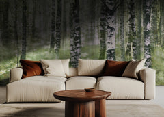 Peaceful Birch Forest