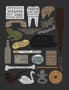 Wall mural Useful Facts – fototapet med unikt motiv som skapar en inspirerande fondvägg