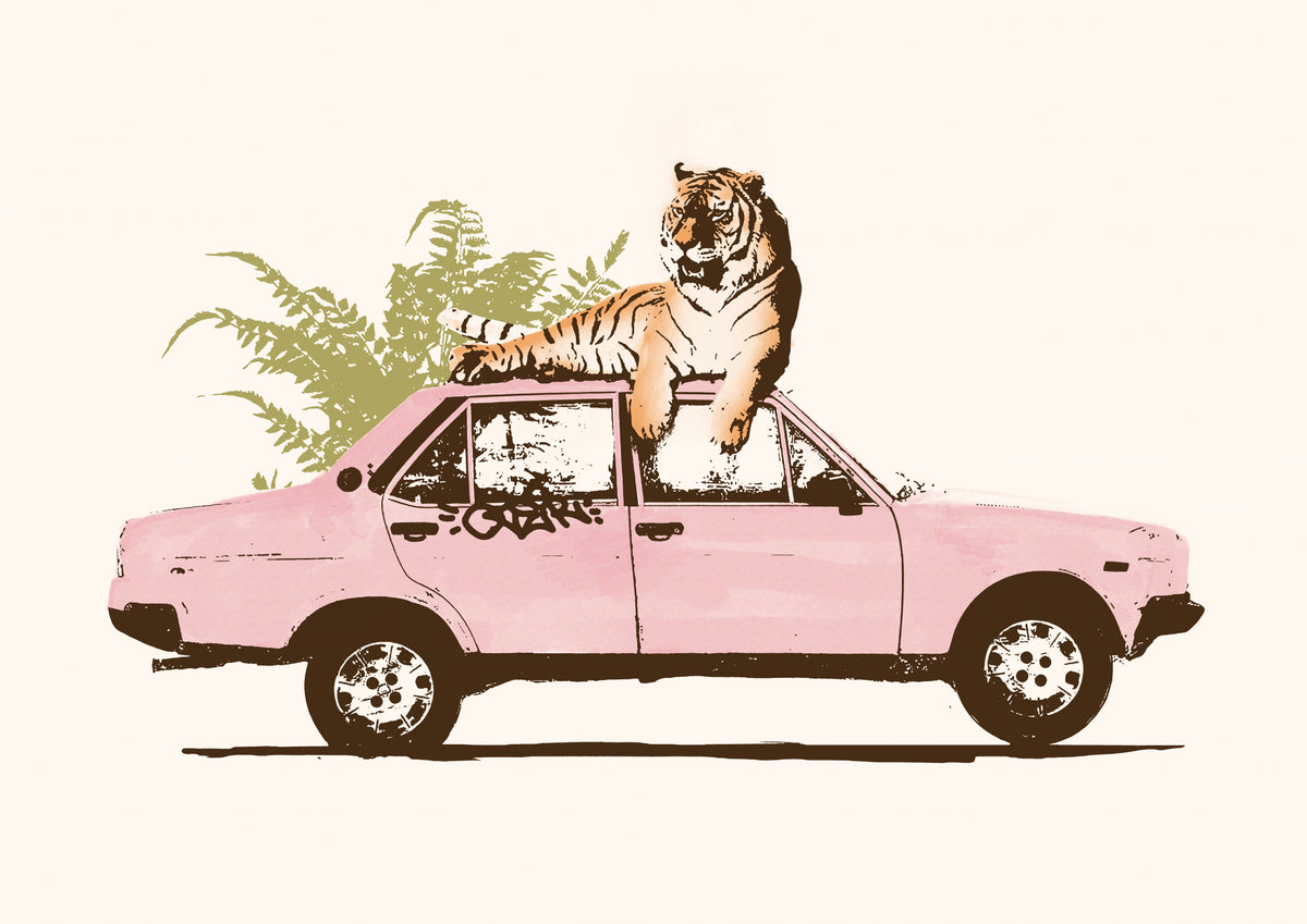 Tiger På Bil
