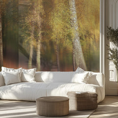 Golden Birch Forest