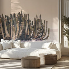 Peach Sky Cactus
