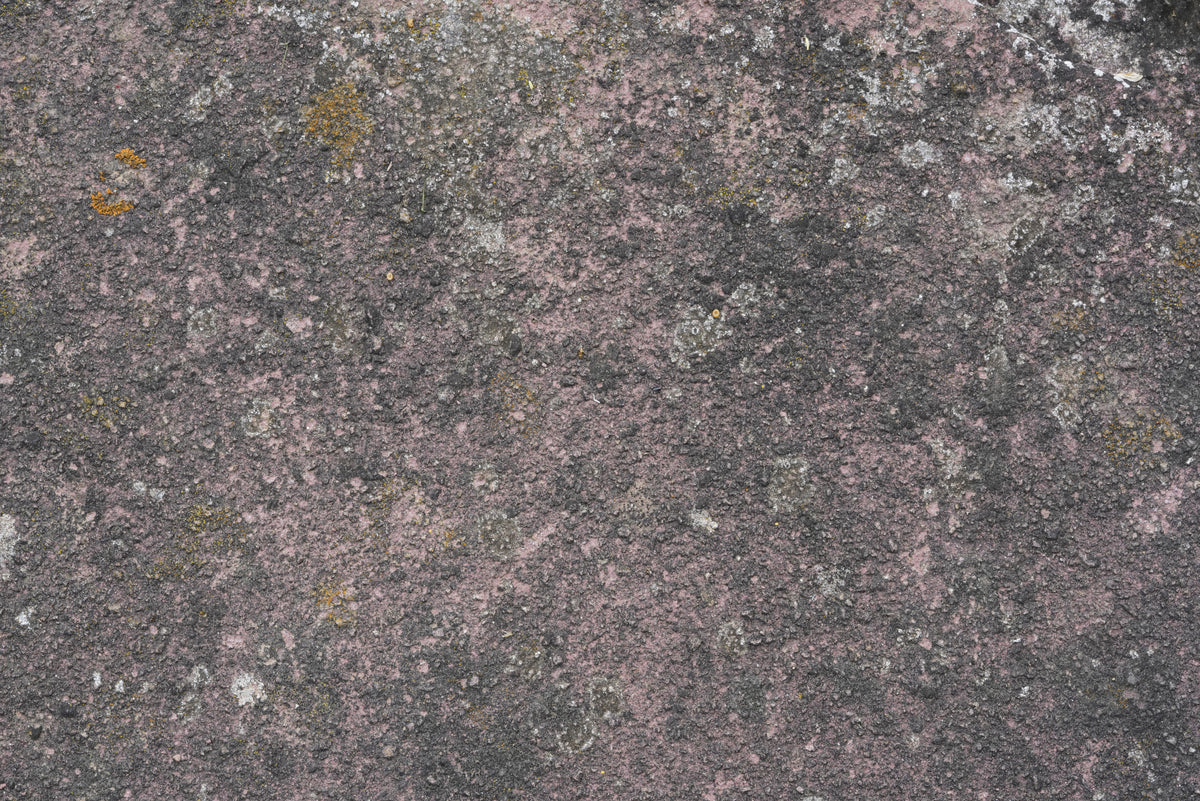 Tex Surface S13