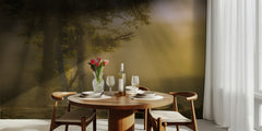 Misty Forest Light