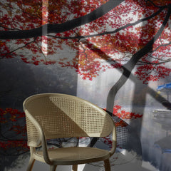 Tranquil Autumn Pagoda