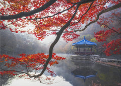 Tranquil Autumn Pagoda
