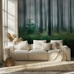 Misty Forest Reflections