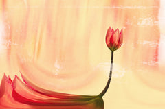 Wall mural dancer – fototapet med unikt motiv som skapar en inspirerande fondvägg