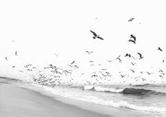 Wall mural Seascape BW – fototapet med unikt motiv som skapar en inspirerande fondvägg