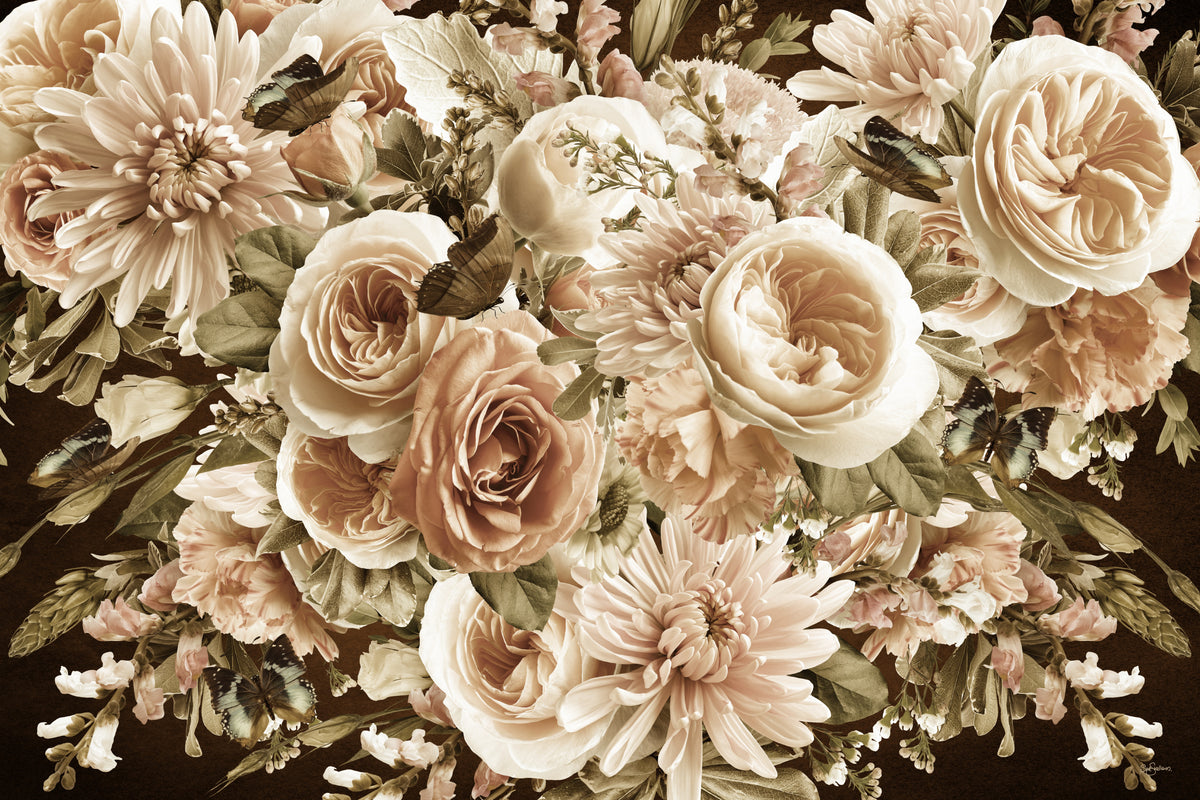 Morgenblomster sepia