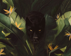 Wall mural Hello Panther – fototapet med unikt motiv som skapar en inspirerande fondvägg