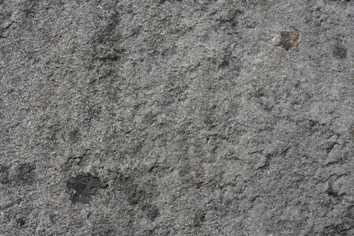 Tex Surface S9