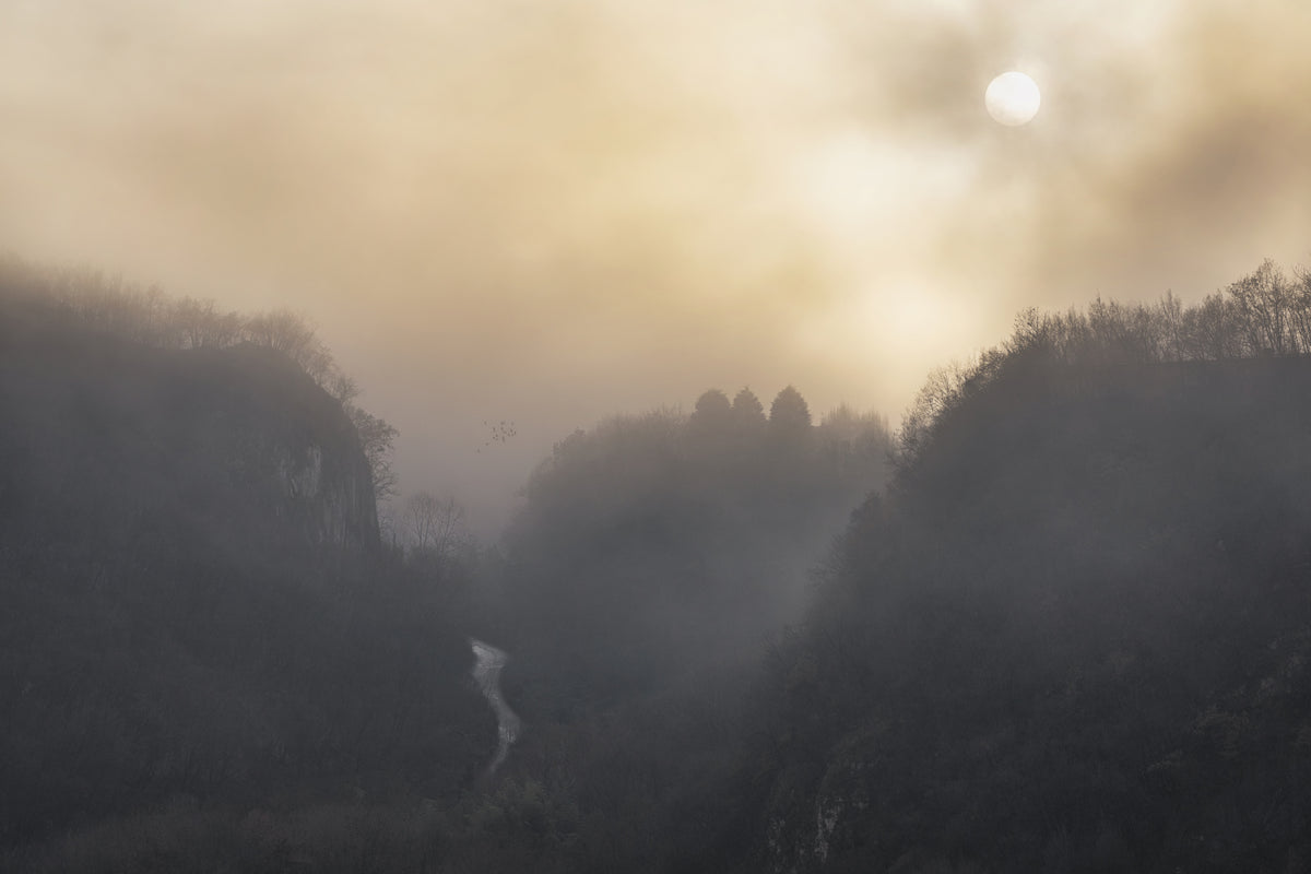 Gold Valley