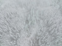 Wall mural White out – fototapet med unikt motiv som skapar en inspirerande fondvägg