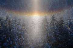 Wall mural 天使の降臨/advent of angels – fototapet med unikt motiv som skapar en inspirerande fondvägg