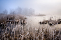 Wall mural Winter in Bavaria – fototapet med unikt motiv som skapar en inspirerande fondvägg