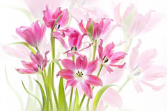 Wall mural Forever Spring – fototapet med unikt motiv som skapar en inspirerande fondvägg