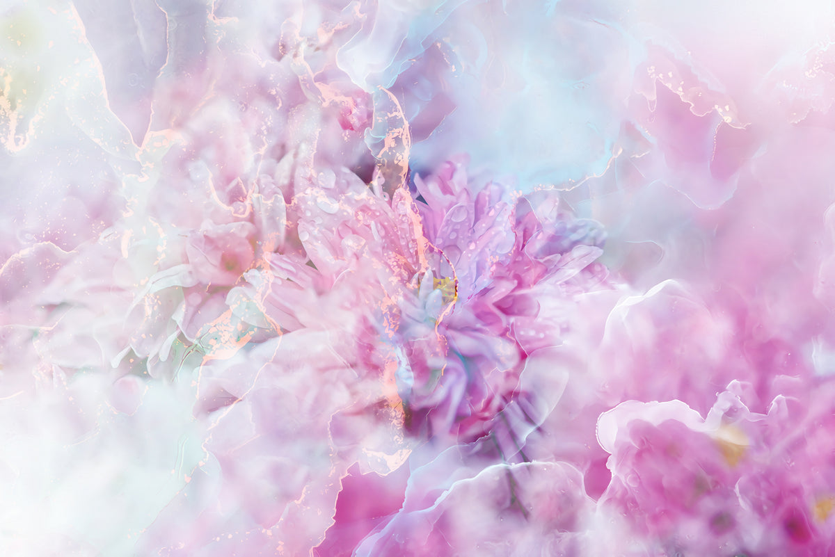 Ombre89flower