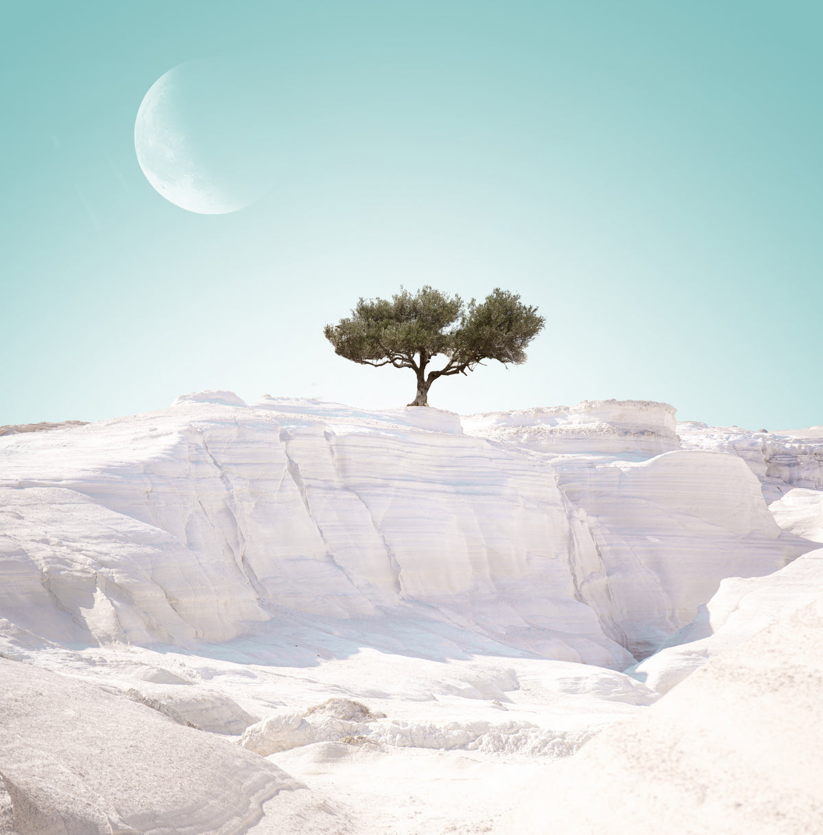 Alien Island. Part 4