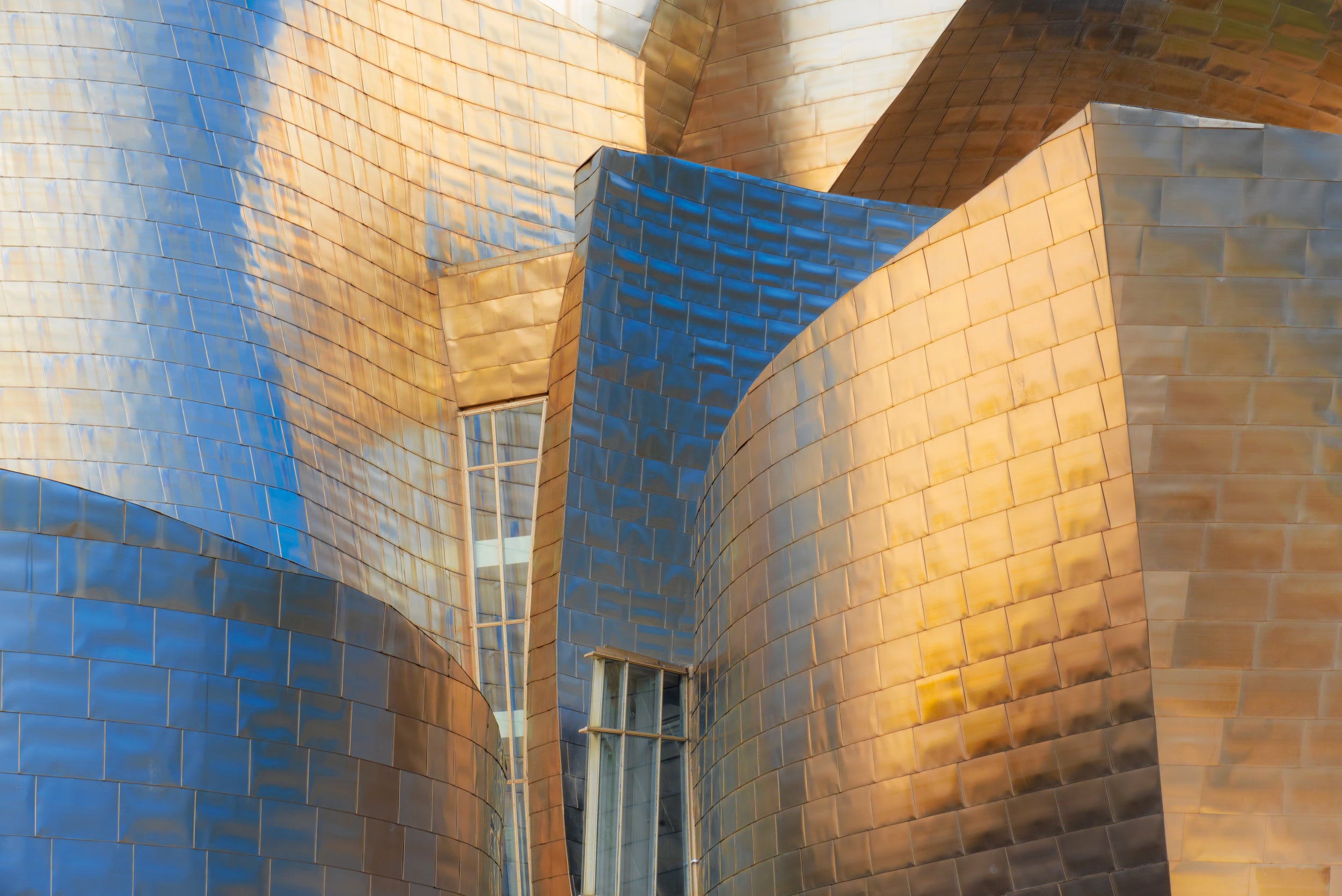 Gehry's Pearl