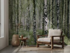 Peaceful Birch Forest
