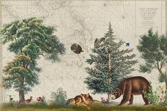 Wall mural Nordic Woods 5 – fototapet med unikt motiv som skapar en inspirerande fondvägg