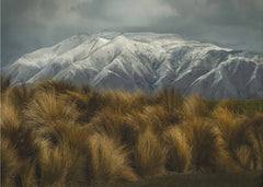 Golden Grass Snowy Mountains