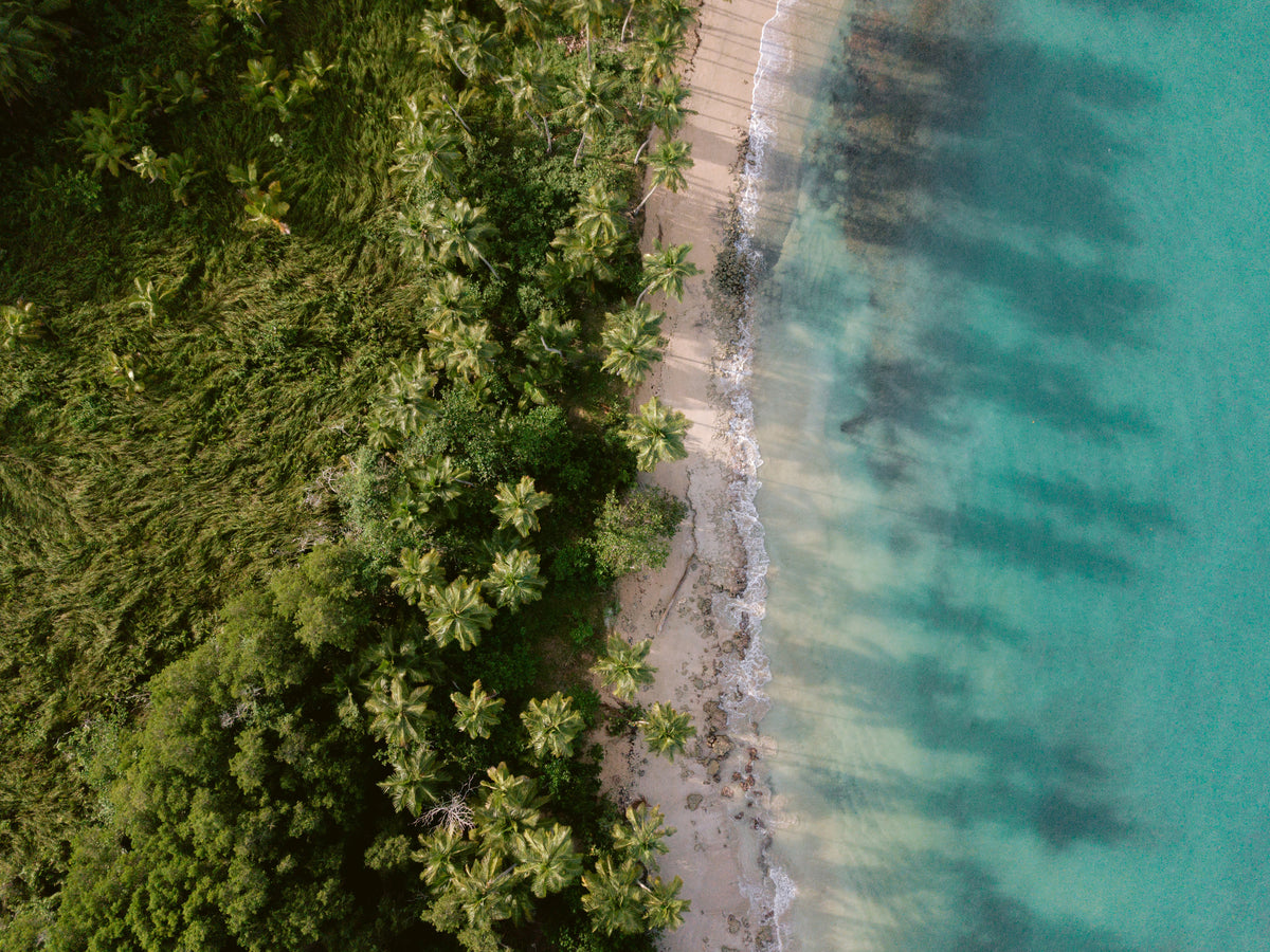 Green Beach ovenfra 2