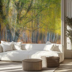 Spring Forest Glow