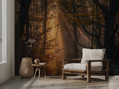 Sunlit Autumn Forest