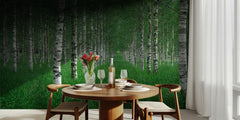 Birch Forest Path