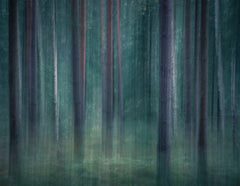 Wall mural ICM 9 – fototapet med unikt motiv som skapar en inspirerande fondvägg