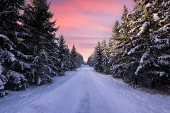 Wall mural Road into the winter forest – fototapet med unikt motiv som skapar en inspirerande fondvägg
