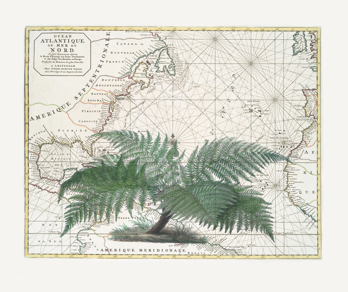 Tropical Empire nr. 4