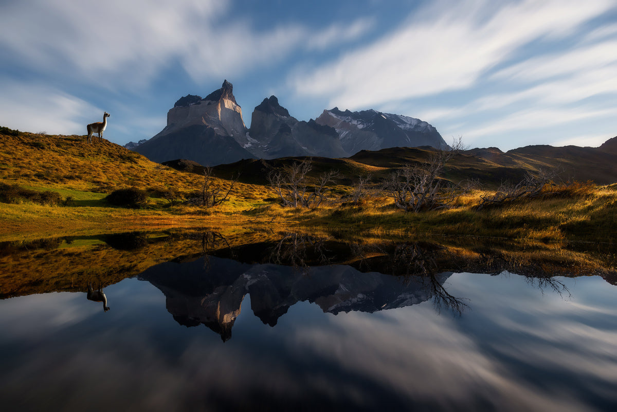God morgen, Cuernos