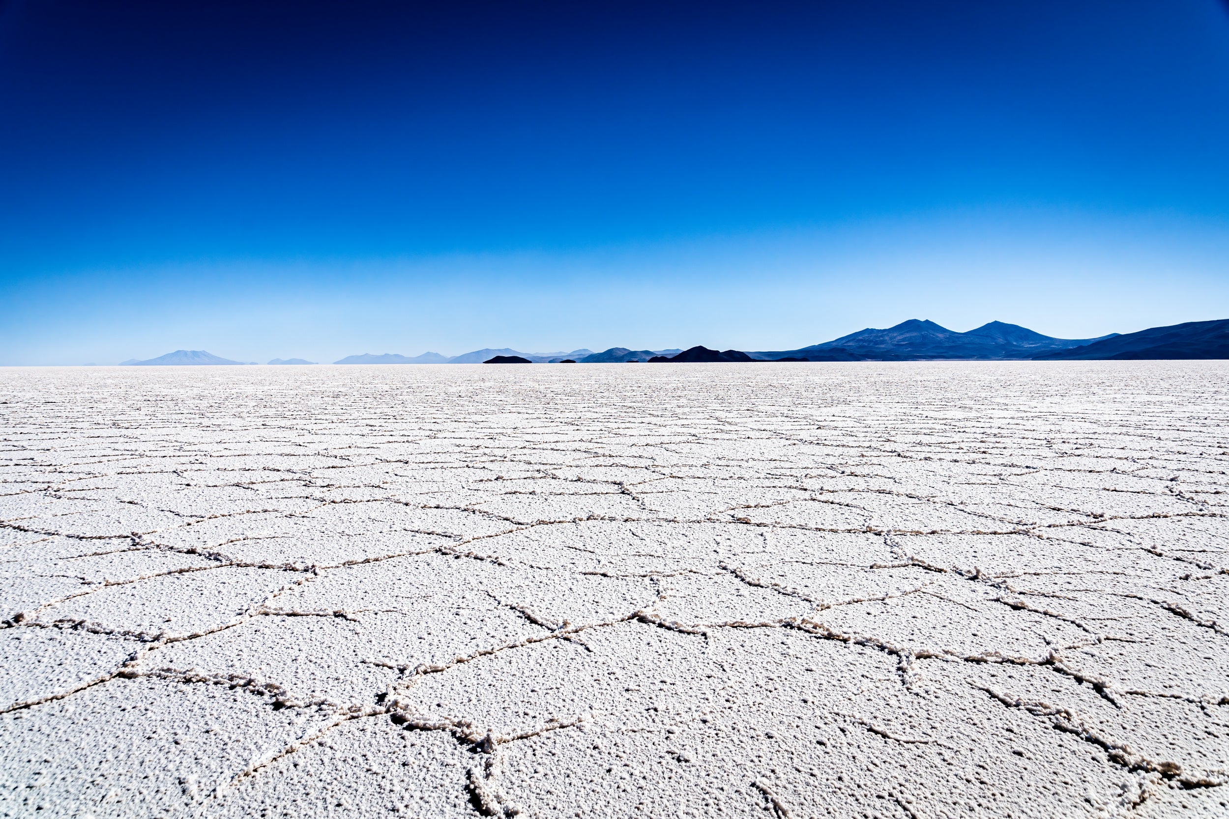 in the salt flat