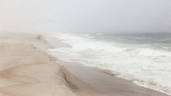 Wall mural Mist over São Jacinto beach – fototapet med unikt motiv som skapar en inspirerande fondvägg