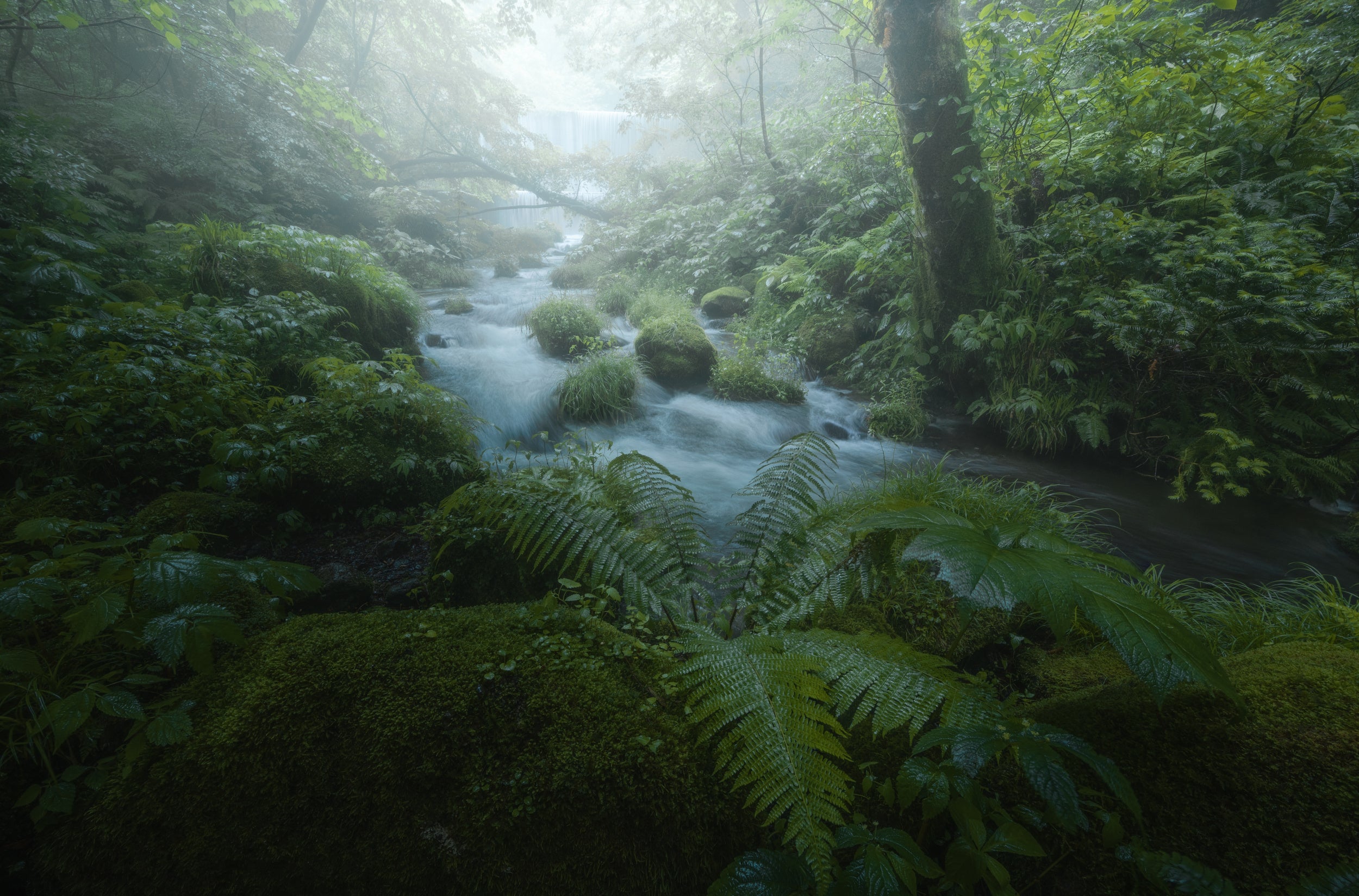 Fresh green waterside